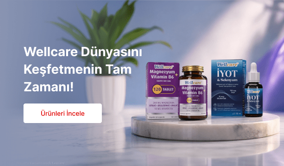 Wellcare Dünyasını Keşfetmenin Tam Zamanı!