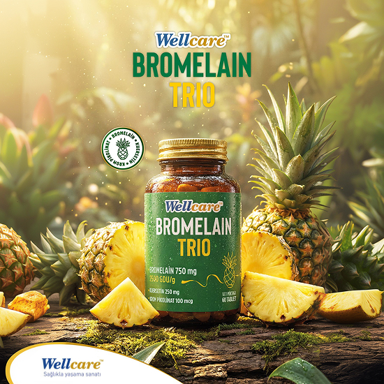 Wellcare Bromelain Trio 60 Tablet