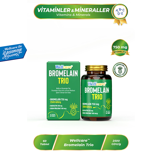 Wellcare Bromelain Trio 60 Tablet