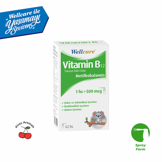 Wellcare Vitamin B12 Metilkobalamin 500 Mcg Dil Altı Sprey 5 Ml
