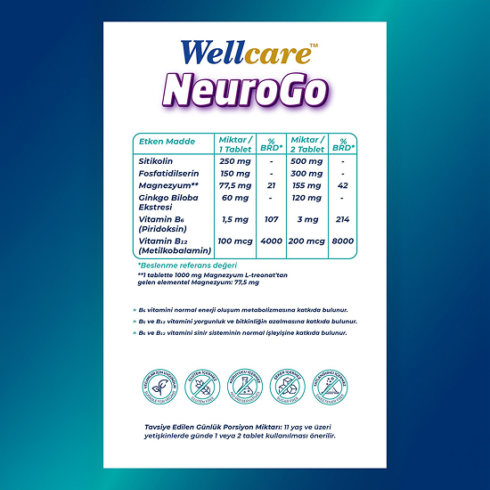 Wellcare NeuroGo 30 Tablet