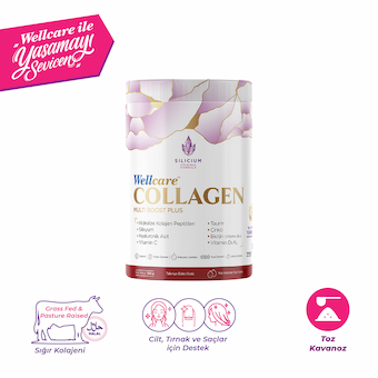 Wellcare Collagen Beauty Boost Plus Nar Aromalı Tip I ve III 10.000 mg - 30 Saşe