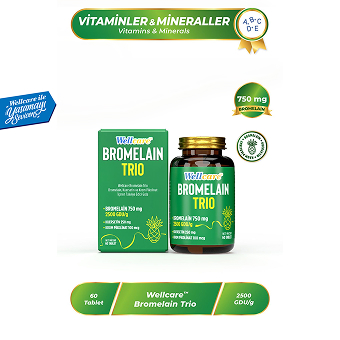 Wellcare Bromelain Trio 60 Tablet