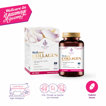 Wellcare Kolajen Cilt 1250 mg 60 Tablet