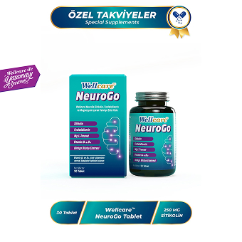Wellcare NeuroGo 30 Tablet